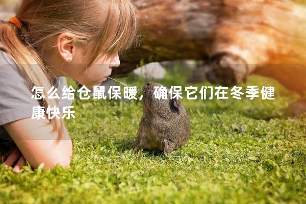 怎么給倉(cāng)鼠保暖，確保它們?cè)诙窘】悼鞓?lè)